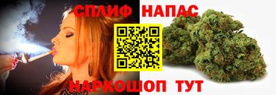 крисы Тверь
