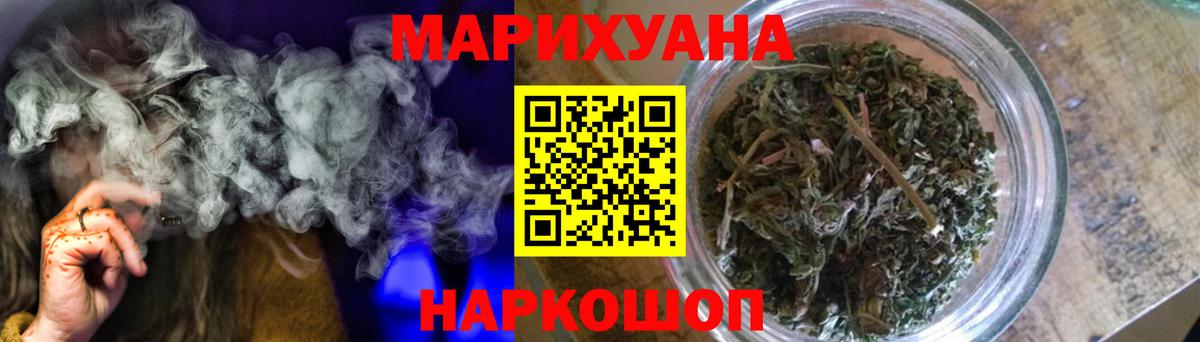 Конопля сатива Менделеевск